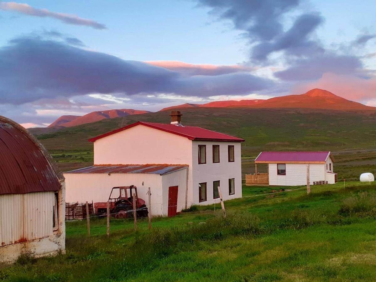Skarth Guesthouse Saudarkrokur Buitenkant foto