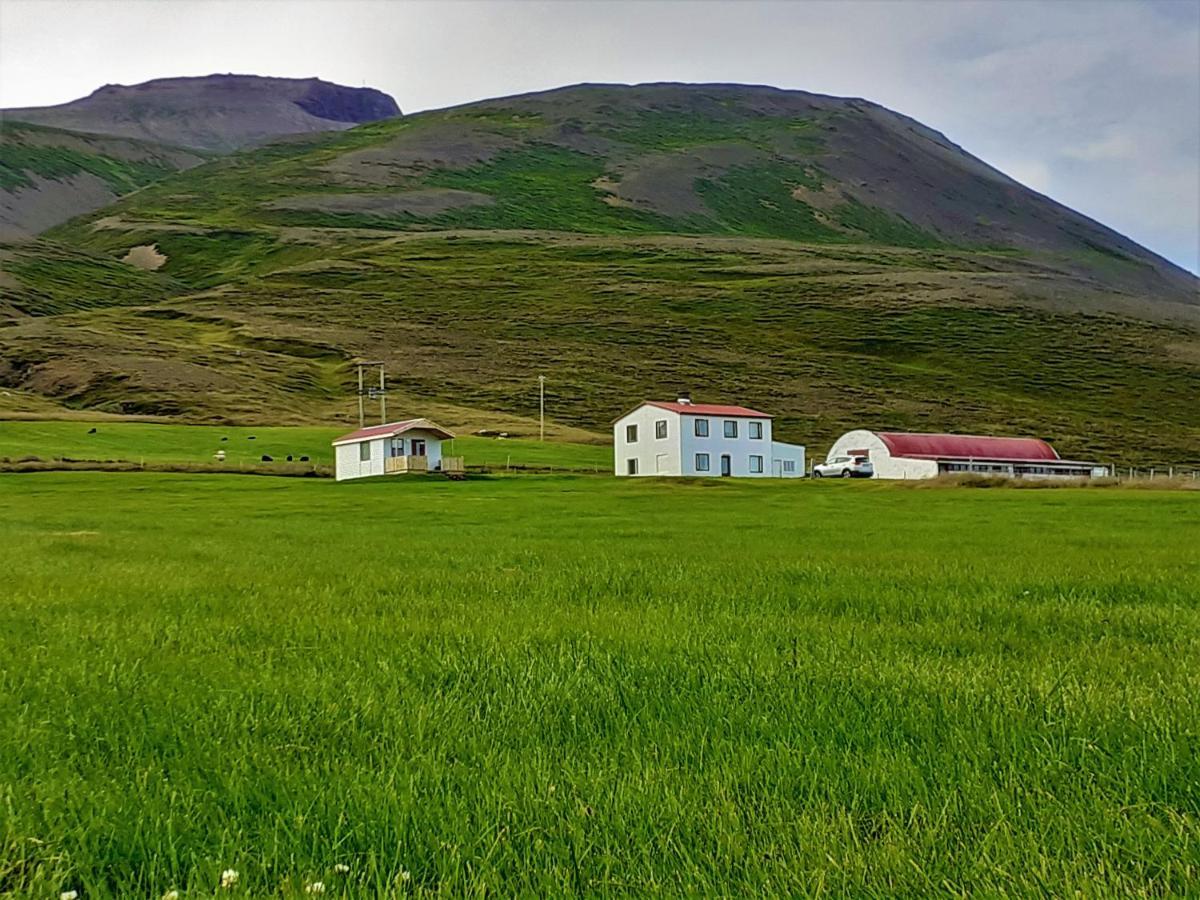 Skarth Guesthouse Saudarkrokur Buitenkant foto