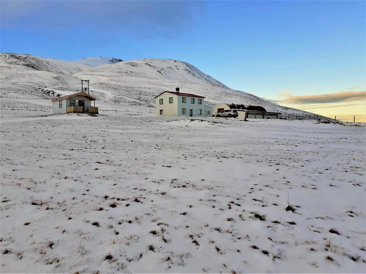 Skarth Guesthouse Saudarkrokur Buitenkant foto