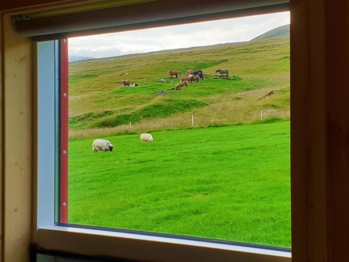 Skarth Guesthouse Saudarkrokur Buitenkant foto